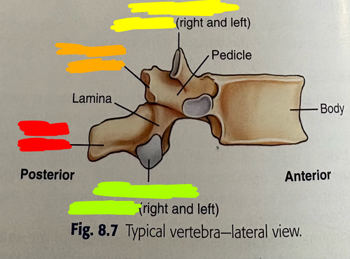 Untitled217 20260319160258.png