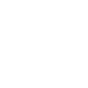 icon car white.png