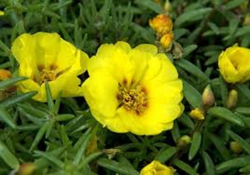 images 1.jpg