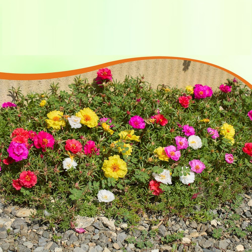 13 happyhourmix5 jpg.jpg