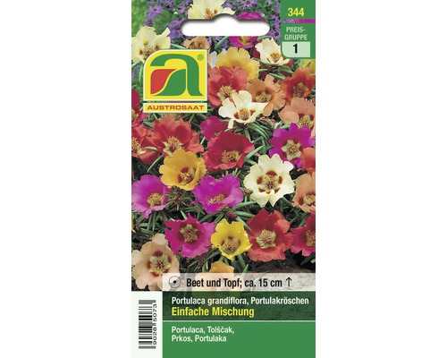 15 as 46081606 jpg.jpg