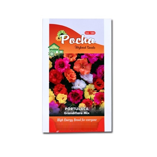 28 portulaca grandiflora mix jpg.jpg