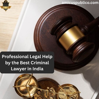 Professional Legal Help by the Best Criminal Lawyer in India.jpg