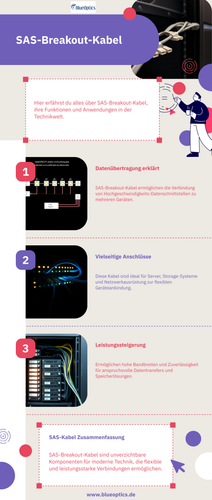 Fortgeschrittene SAS-Verkabelung für skalierbare Speichersysteme in Unternehmen.png
