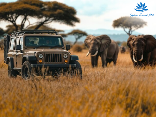 International Travel Agents In Nairobi | Spice Travel Services 🌐✈️.png