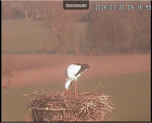 MWSnap540.jpg