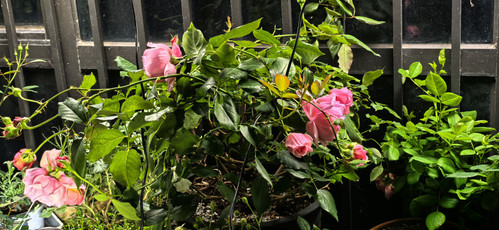 IMG 20260319 231519.jpg