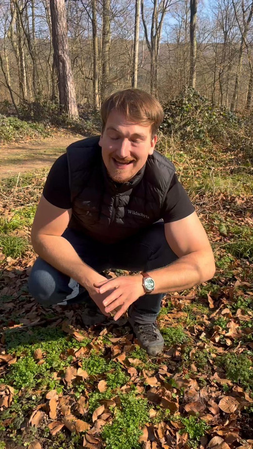 PLOeNk 4cP3cX1hD.jpg