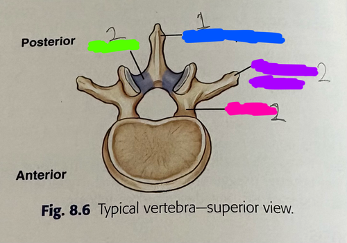 Untitled216 20260319153953.png