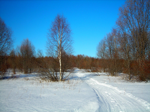 spring march 27 2021 5.jpg