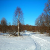 spring march 27 2021 5
