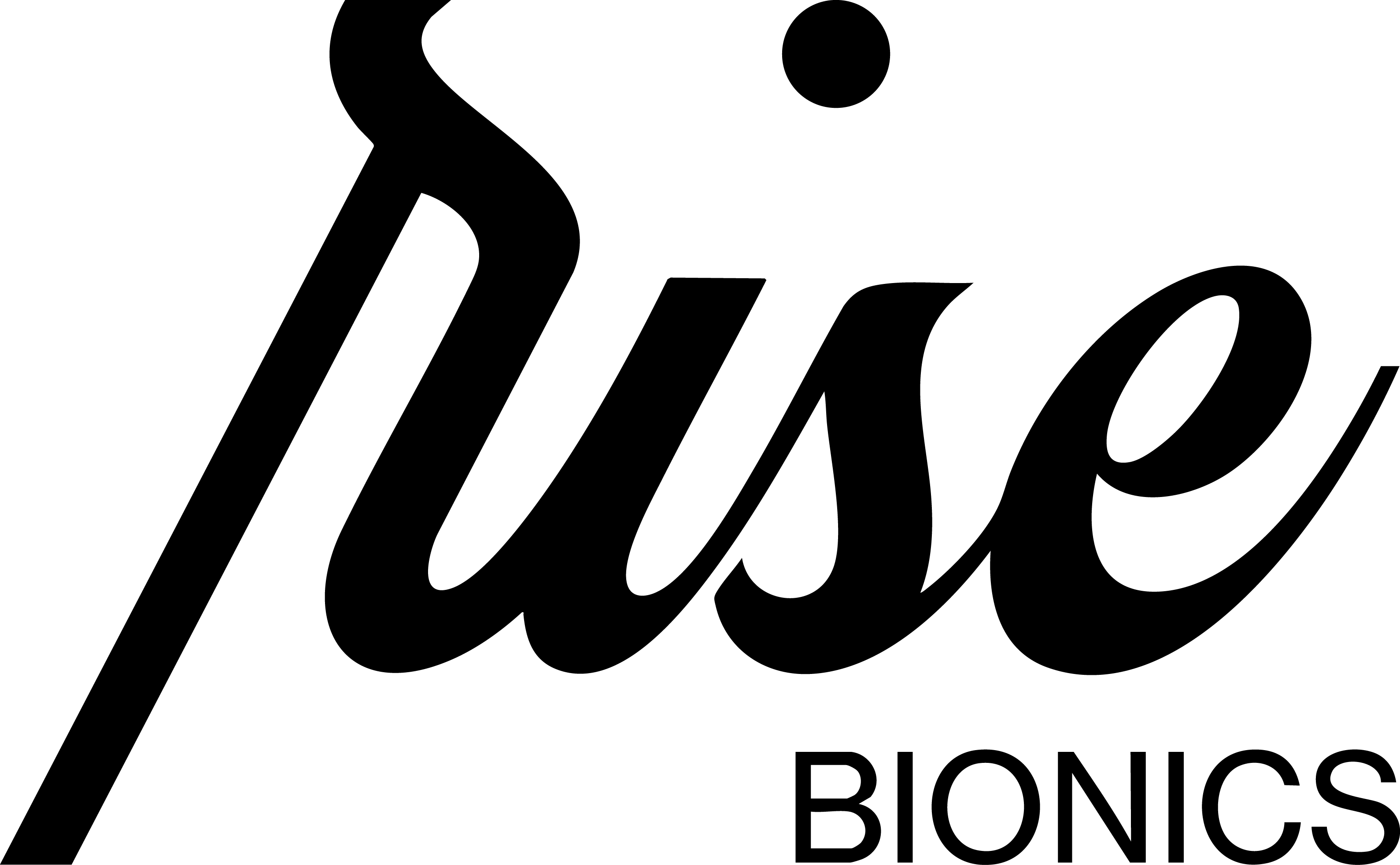 Help a Child Walk partner