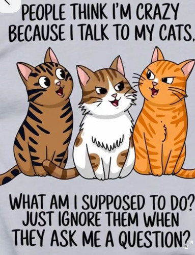1000003097