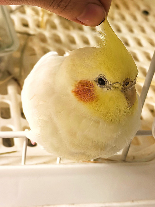 MEITU 20260310 210830487.jpg