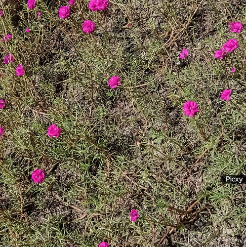 05 59bbc1q5mlw63yd2u2cn0hs6jnzf2gljhr486u3dkgm2y jpg.jpg