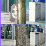 巡禮相框1080p (15)