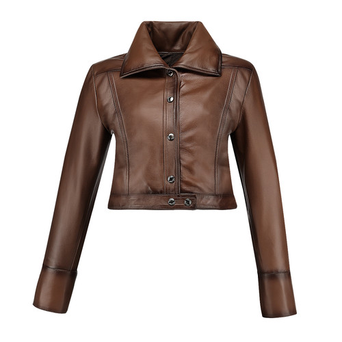 M369BOB MIEL borrego manta miel somb MO 01.jpg