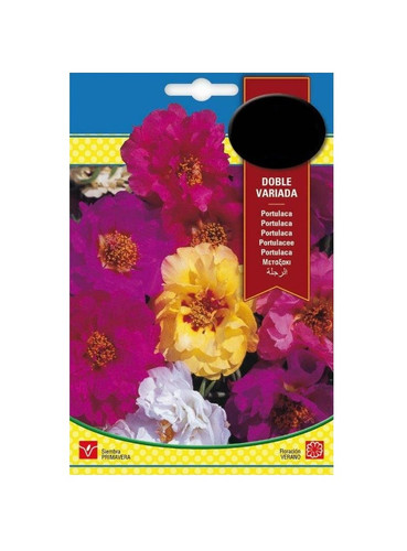 42 portulacee double mix seeds 650mg superbol jpg.jpg