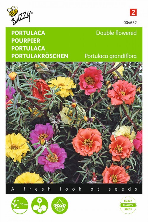 49 double flower garden portulaca seeds jpg.jpg