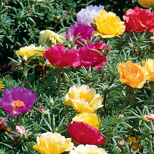 53 666709eb f333 45c9 8fda ccff7b28d0b5 ff050fa73e0af4f36de7ca009e44e747.png