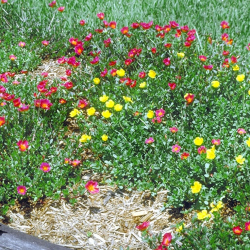 46 574664 1 106915 3f29d24b jpg.jpg