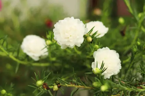 s l1600.webp