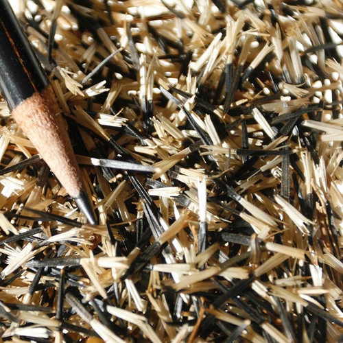 marigold sparky seeds.jpg