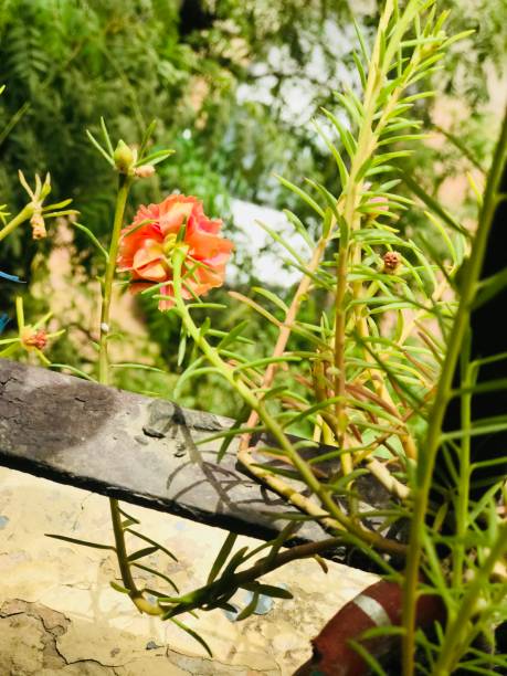 Beautiful nature photos.jpg