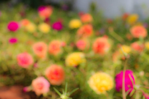 color background.jpg