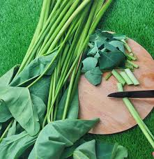 images?q=tbn:ANd9GcQxXPEb0dk2YE5l1lbDvyyazlWMp D HdXT9g&s.jpg