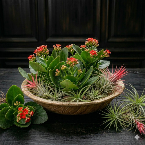 AOI d xIE 88nTFhwcA8JiolJc6cOYskdpyem79MIzF0bzPaNAO78qT9G5DqHEnSHNIisODB qvFwdoJkKwDldOmHZf6sOpUoDuf.jpg