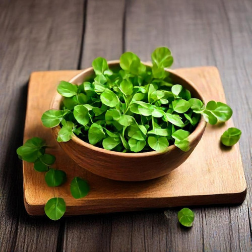 bowl green basil is wooden plate 1041015 110613.jpg
