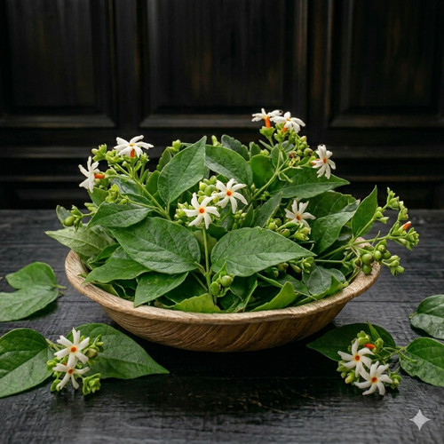 AOI d 9kDRdHt YO9TsS4iZB8uugbWbM1xzQhrW 9Aicide6XdQc8IFkZa9KWSNwDOYEYLEzzzgIbk6Ds3FuMtFGl3jC797oi4fz.jpg