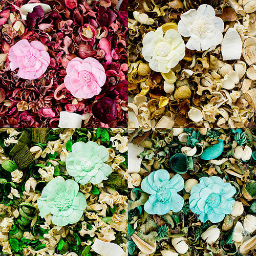 Dried flowers composition.jpg