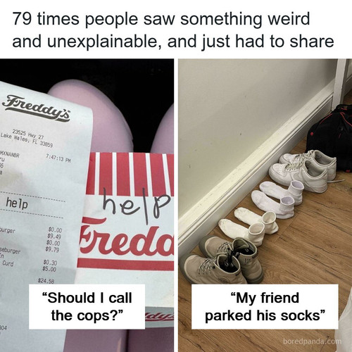 weird curiosities.jpg