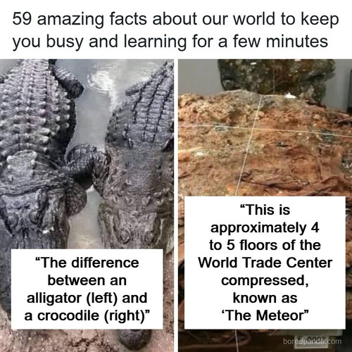 interesting facts photos nature humanity explainingthewild.jpg