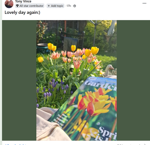 Which Gardening Facebook 03 20 2026 09 20 AM.png