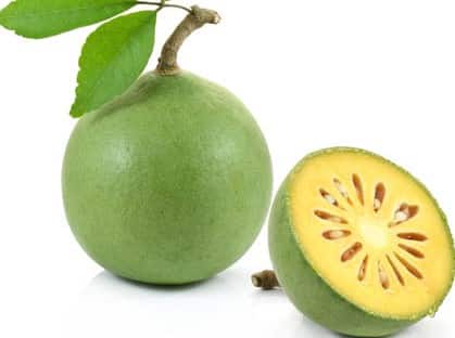 Health Benefits of Wood apple or Bael fruit.jpg