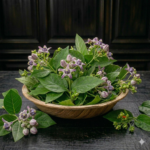 AOI d 9buPAKyYU0tlgCSoDb42aa OGQCArpmLX6zBQnv8emOEAP9 esRAbmyNAp3A Kv77wzgtmfAtqlrGhdeiZZyaXqTuR27tW.jpg