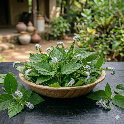 AOI d 9riiG2rTThiO6dRxJN F9IRcTOQQoqFWXCYLJjgXWTZYQjCBJRZKvIPntuoWp0qf BTAgc8KX1Zs7WjTxtoiTJbi1OjxZG.jpg