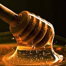 images?q=tbn:ANd9GcQBkAz0GLrT1uzJ5wH rPbsgldJRTcYJE6CKg&s.jpg