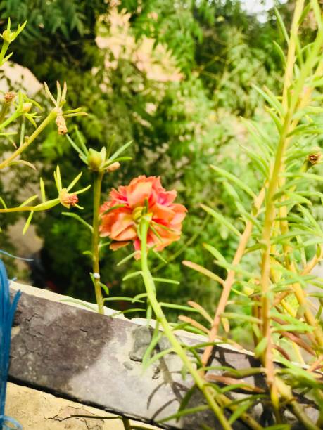 Beautiful nature photos.jpg