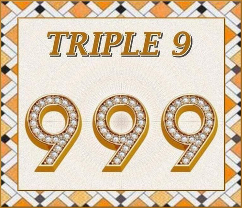 TRIPLE 9.jpg