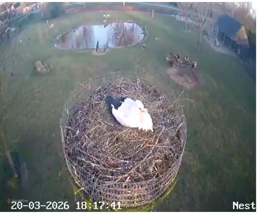 MWSnap795.jpg
