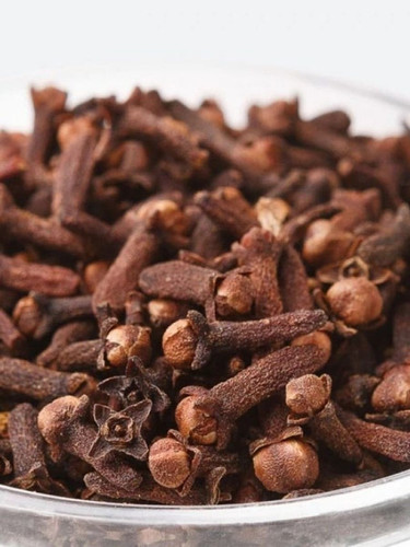 cropped WhatsApp Image 2024 10 30 at 71158 AM.jpg