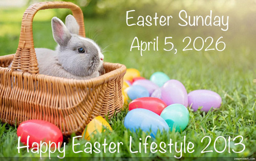 fotor17740070251372 2.jpg