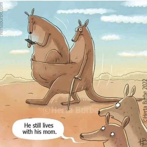1000003099