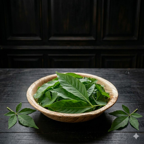 AOI d 9Lbtquj bZRm4hWjFikOHwJkBaiqRICWYsYbE5oedmtq3cgqzbndB2AySB1fFd0qdowYGubOLnoFvN8OjJGLidM73BQVPi.jpg