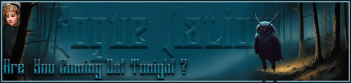OutTo Banner.jpg