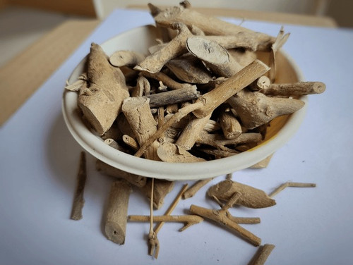 bharangi clerodendron serratum blueflowered glory 600nw 2321217197.jpg